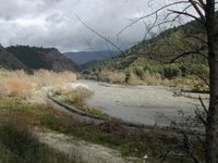 Una immagine del fiume Olivo in piena